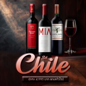 Set Chile เซ็ตไวน์แดง 3 ขวดจาก Escudo Rojo, MIA และ Montes Alpha พร้อมของแถมพิเศษ