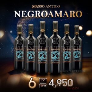 Masso Antico Negroamaro เซ็ตไวน์แดง 6 ขวดในราคาสุดพิเศษ