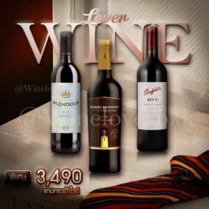 Leven Wine เซ็ตไวน์ 3 ขวดจาก Splendour, Robert Mondavi และ Penfolds พร้อมของแถมพิเศษ