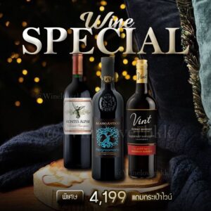 Wine Special เซ็ตไวน์แดง 3 ขวดจาก Montes Alpha, Masso Antico และ Robert Mondavi พร้อมของแถมกระเป๋าไวน์สุดพิเศษ