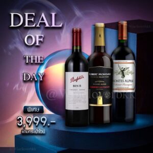 Deal of the Day | เซ็ตไวน์ 3 ขวดพร้อมกระเป๋าไวน์สุดพรีเมียม