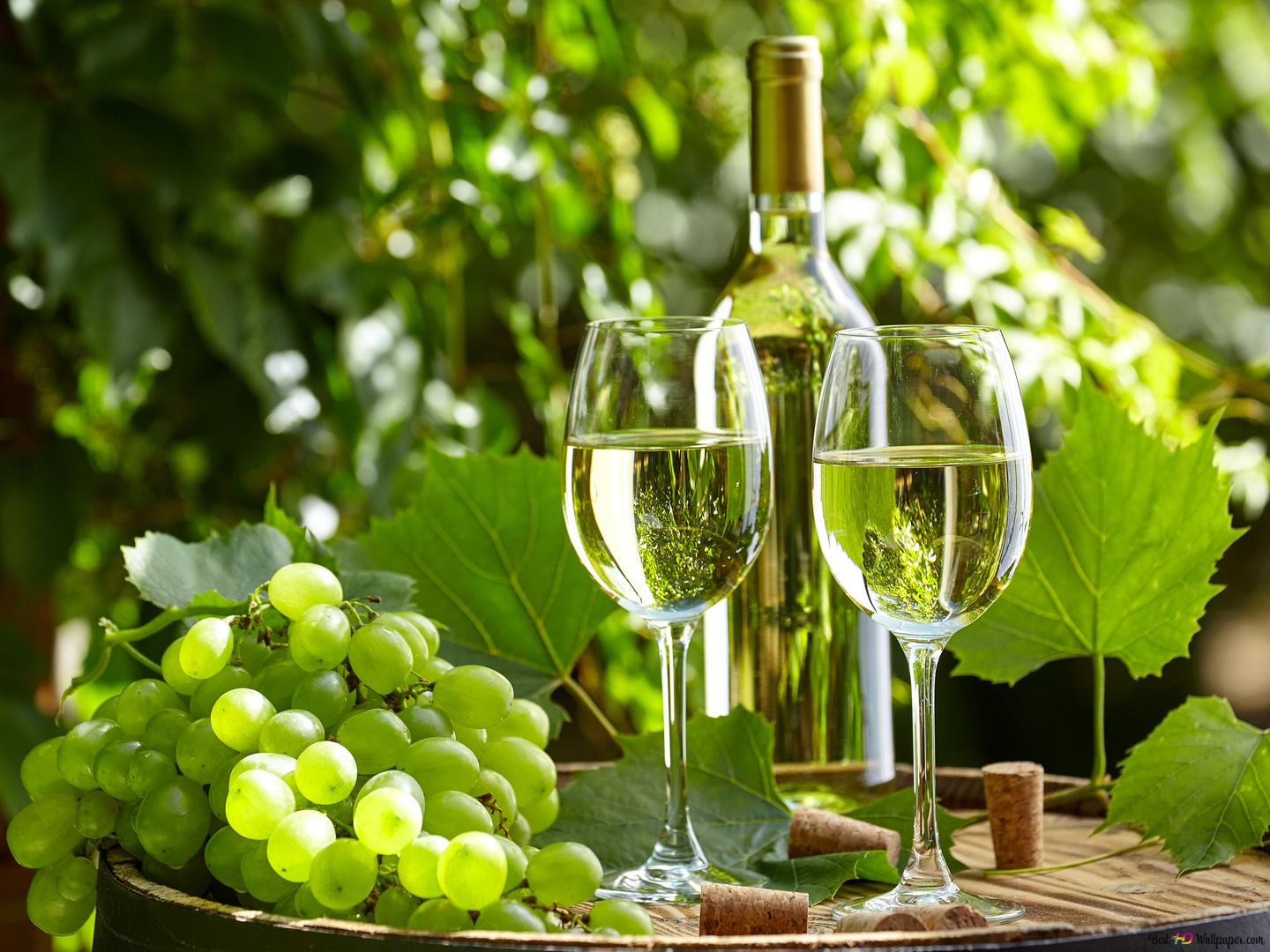a bottle and two glasses of white wine with grapes on the side nature wallpaper x