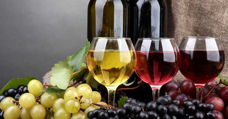 องุ่นพันธุ์ต่าง ๆ ที่ใช้ทำไวน์ ปก