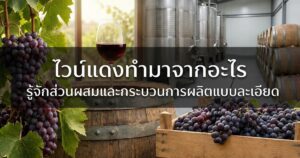 ไวน์แดงทำมาจากอะไร รู้จักส่วนผสมและกระบวนการผลิตแบบละเอียด ปก