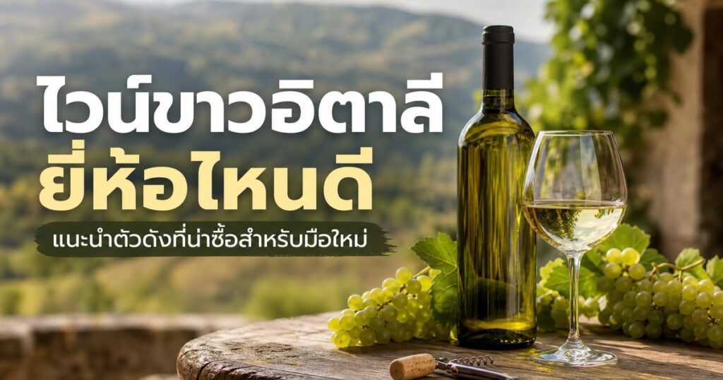 ไวน์ขาวอิตาลี ปก